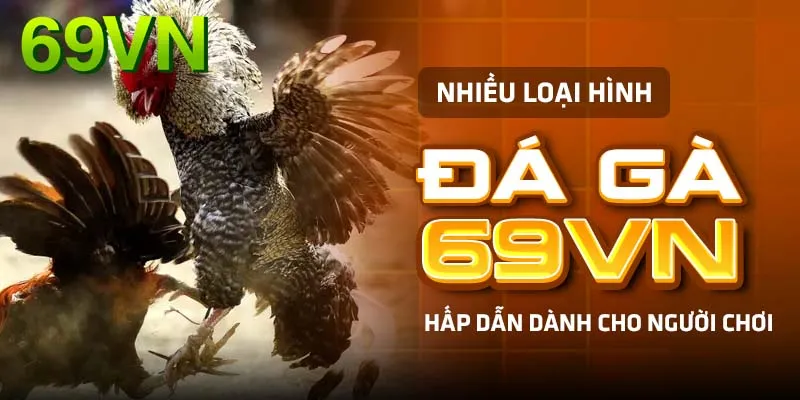 Các loại hình đá gà thịnh hành tại nhà cái 69VN 