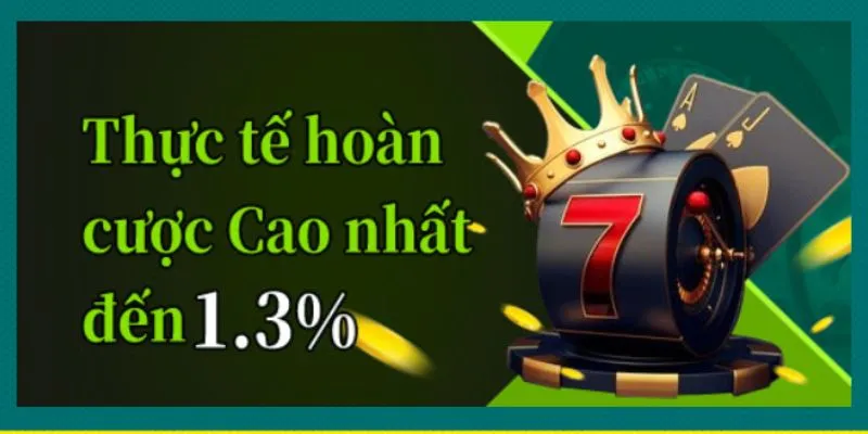 Chương trình ưu đãi hoàn cược lên tới 1.5% khi tham gia nhà cái